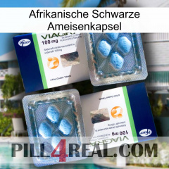 Africa Black Ant Capsule viagra5